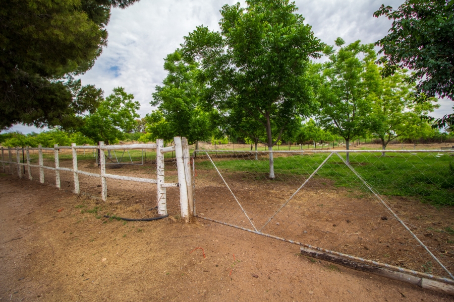 5 Bedroom Property for Sale in Louisvale Northern Cape